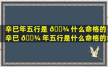 辛巳年五行是 🌾 什么命格的「辛巳 🌾 年五行是什么命格的命运」